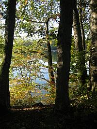 Le Lac de Bret, à Oron-la-Ville, lieu de villégiature du dimanche de nombreux Lausannois. Cest aussi une des principales sources deau potable de la capitale vaudoise.